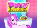 Тоглоом Pony Pet Salon