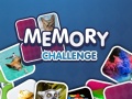 Тоглоом Memory Challenge