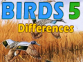 Тоглоом Birds 5 Differences
