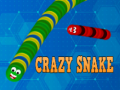 Тоглоом Crazy Snake