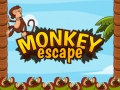 Тоглоом Monkey Escape