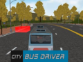 Тоглоом City Bus Driver  