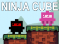Тоглоом Ninja Cube