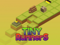 Тоглоом Tiny RunnerS