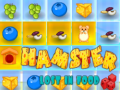 Тоглоом Hamster Lost In Food