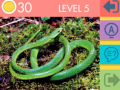 Тоглоом 15 Picture Quiz