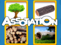 Тоглоом Assotiation 