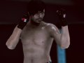 Тоглоом MFS: MMA Fighter