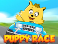 Тоглоом Puppy Race