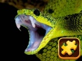 Тоглоом Snake Puzzle Challenge