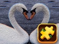 Тоглоом Swan Puzzle Challenge
