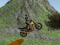 Тоглоом Dirt Bike Rider