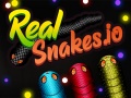 Тоглоом Real Snakes.io