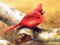 Тоглоом Art Birds Puzzle