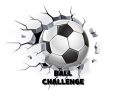 Тоглоом Ball Challenge