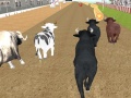 Тоглоом Angry Bull Racing