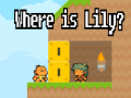 Тоглоом Where is Lily?