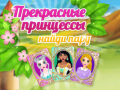 Тоглоом Beautiful Princesses Find A Pair