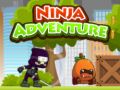 Тоглоом Ninja Adventure