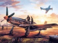Тоглоом Air Combat Puzzle