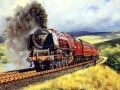 Тоглоом Train Journeys Puzzle