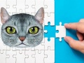 Тоглоом Abyssinian Puzzle Challenge