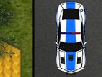 Тоглоом Police car parking 3