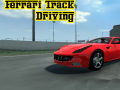 Тоглоом Ferrari Track Driving
