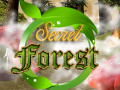Тоглоом Secret Forest