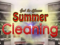 Тоглоом Spot The differences Summer Cleaning