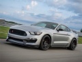 Тоглоом Mustang Shelby Puzzle