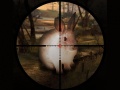 Тоглоом Classical Rabbit Sniper Hunting 2019
