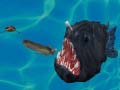 Тоглоом Fish 3d