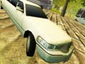 Тоглоом Limousine Driver