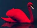 Тоглоом Love Birds Puzzle