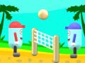 Тоглоом Beach Volleyball