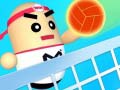 Тоглоом Amazing Volleyball