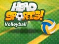 Тоглоом Head Sports Volleyball