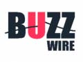 Тоглоом Buzz Wire