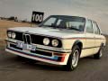 Тоглоом BMW 530 MLE