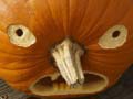 Тоглоом 5 in 1 Picture Puzzle: Halloween