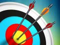 Тоглоом Master Archery Shooting