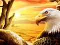 Тоглоом Eagle