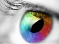 Тоглоом Colours And Designs