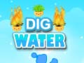 Тоглоом Dig Water