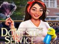 Тоглоом Domestic Service