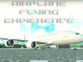Тоглоом Airplane Flying Expierence