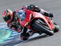 Тоглоом 2020 Ducati Panigale