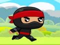 Тоглоом Ninja