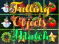 Тоглоом Falling Objects Match 